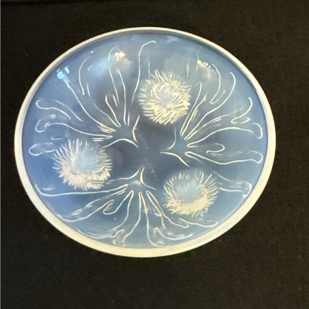 Sabino Urchin Bowl